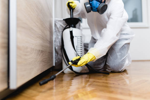 Wasp Removal Services in Taylor, MI
