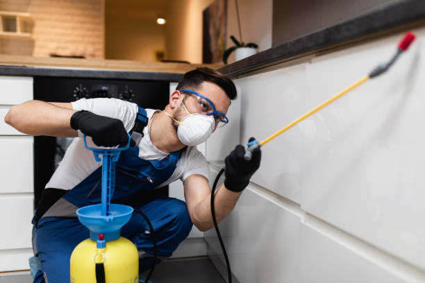 Best Rat Extermination Near Me  in Taylor, MI