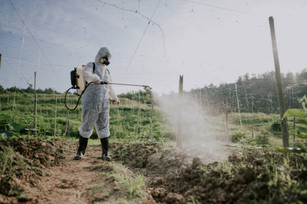 Pest Control Cost in Taylor, MI