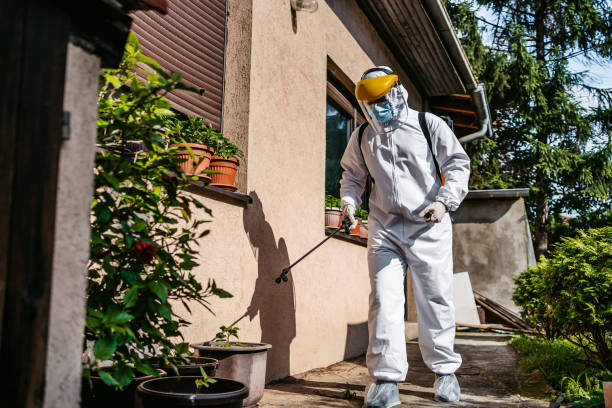 Trusted Taylor, MI Pest Control Experts