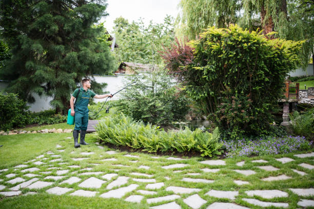 Best Mosquito Control Services  in Taylor, MI