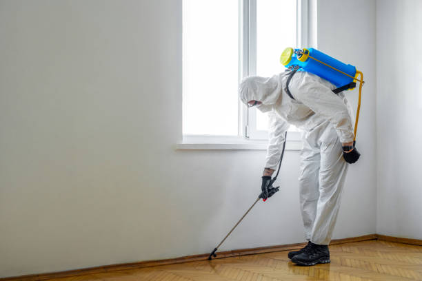 Best Best Pest Control Companies  in Taylor, MI