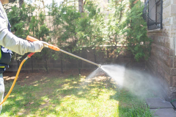 Best Bird Control  in Taylor, MI