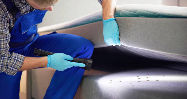 Best Emergency Pest Control  in Taylor, MI