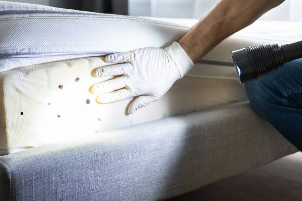 Best Pest Inspection Near Me  in Taylor, MI