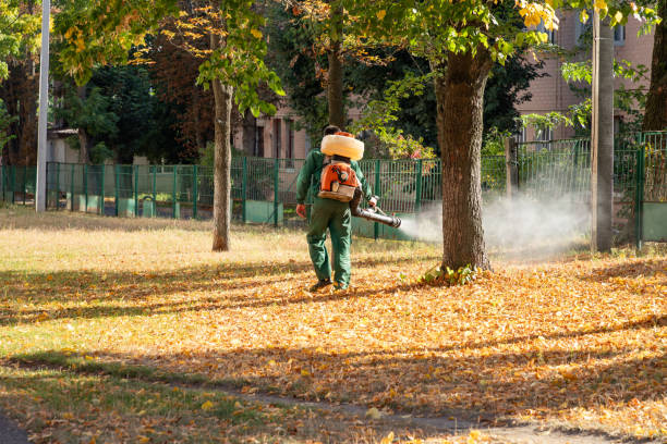 Best Pest Prevention Services  in Taylor, MI