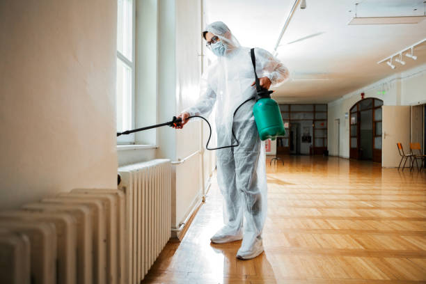 Best Affordable Pest Control Services  in Taylor, MI