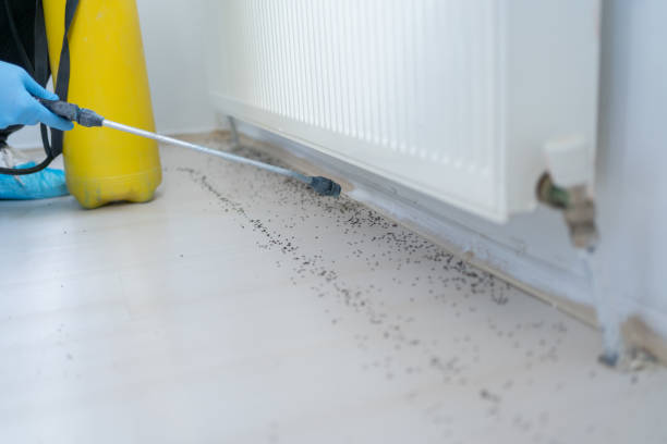 Best Wildlife Control Services  in Taylor, MI