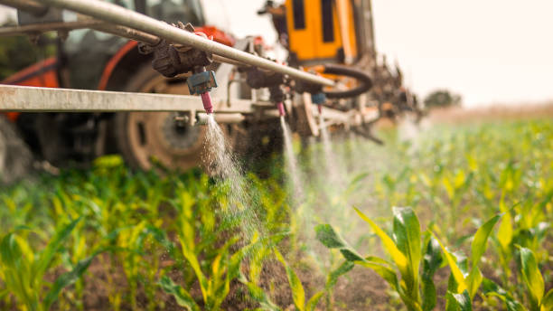 Best Local Pest Control Services  in Taylor, MI